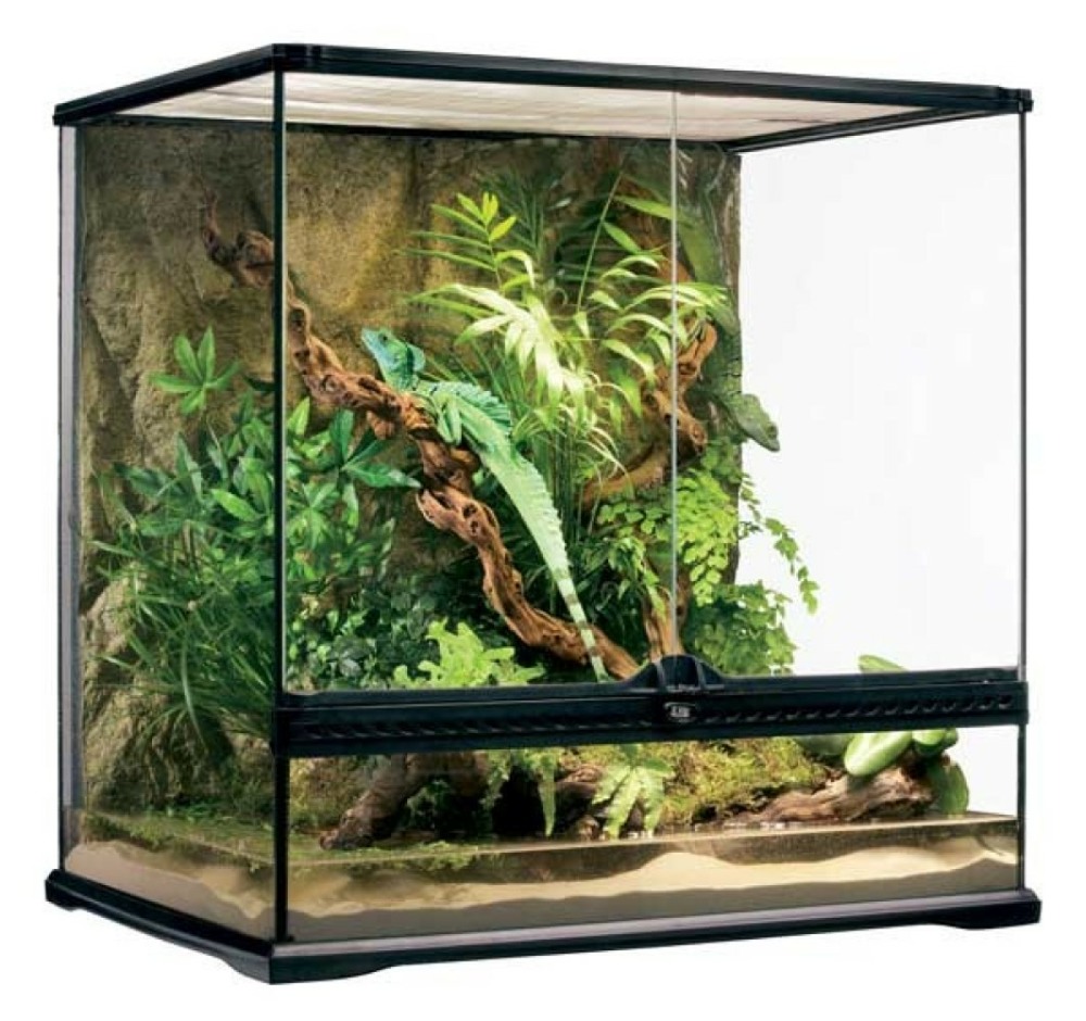 Terrarium m / tall, 162l, 60x45x60cm