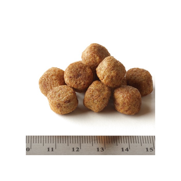 HILL'S Science Plan Perfect Weight Medium Adult au Poulet - Croquettes pour chien