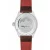 Alpina Alpiner 4 Automatik Grau AL-525G5AQ6