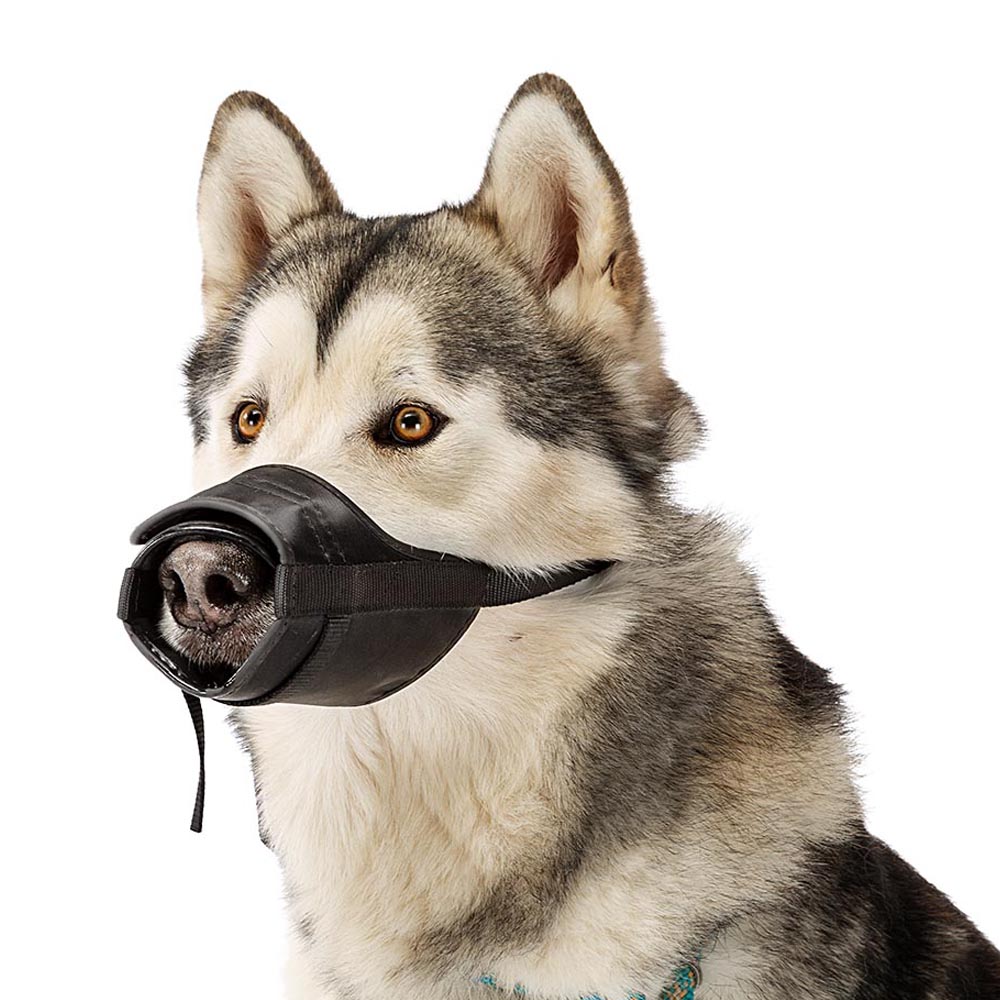 Ferplast muselière pour chiens de taille grande safe large anti-morsures, nylon robuste, partie antérieure ouverte, rembourrage