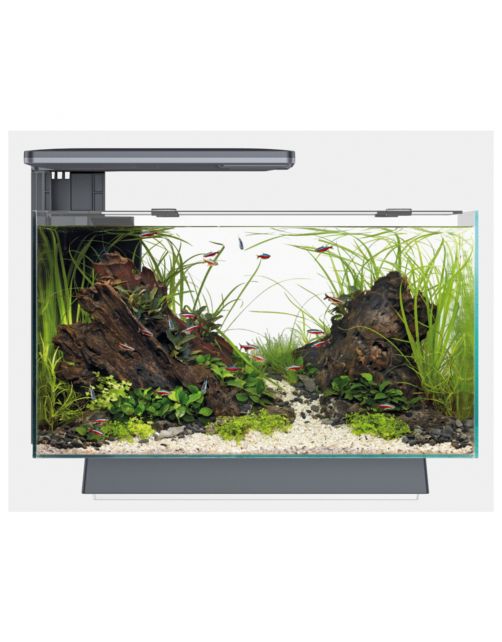 Superfish Quadro 40 Multi Colour - Aquaria