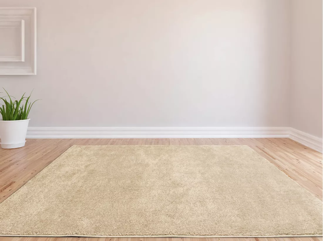 Tapis shaggy à poils longs - 200 x 290 cm - Beige - MILINIO