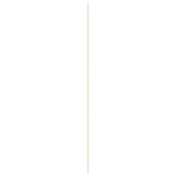 Hollat grenen 22x22 mm lengte 270 cm