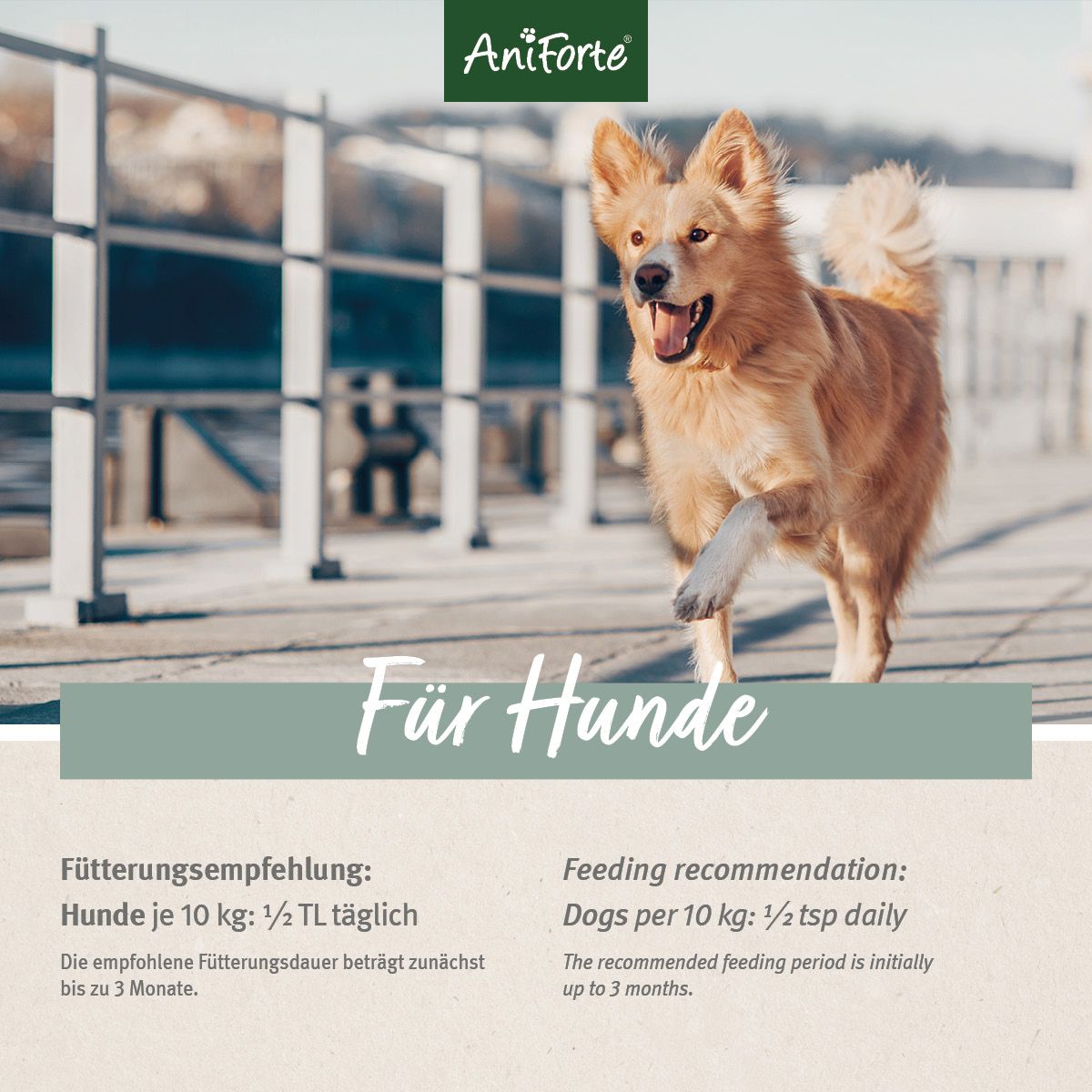 AniForte Plus Arthro Omega Öl