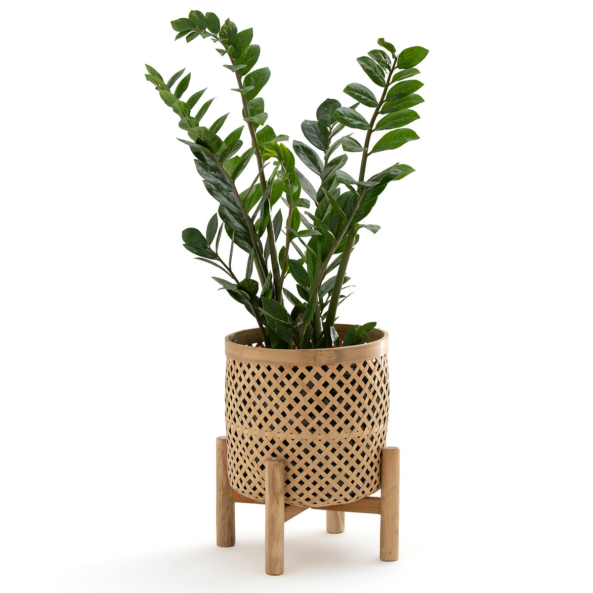 LA REDOUTE INTERIEURS<br>Vaso em bambu com suporte Ø26 cm Bambu