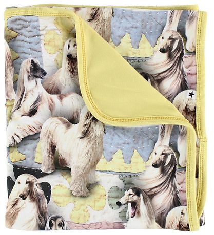Molo -Teppich - 80x75 - Neala - Dogtastic