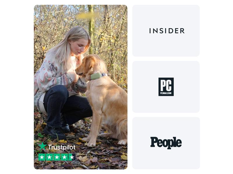 tractive GPS-Tracker DOG XL, Grün GPS Tracker für grosse Hunde