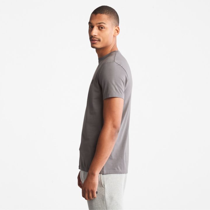 Camiseta Dunstan River Crewneck Masculina na cor Cinza