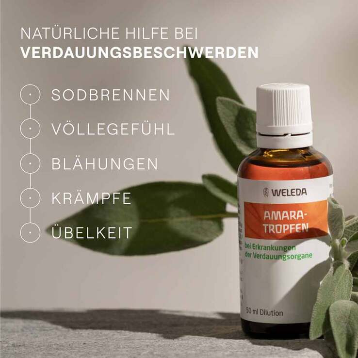 Amara-Tropfen Dilution, 50 ml