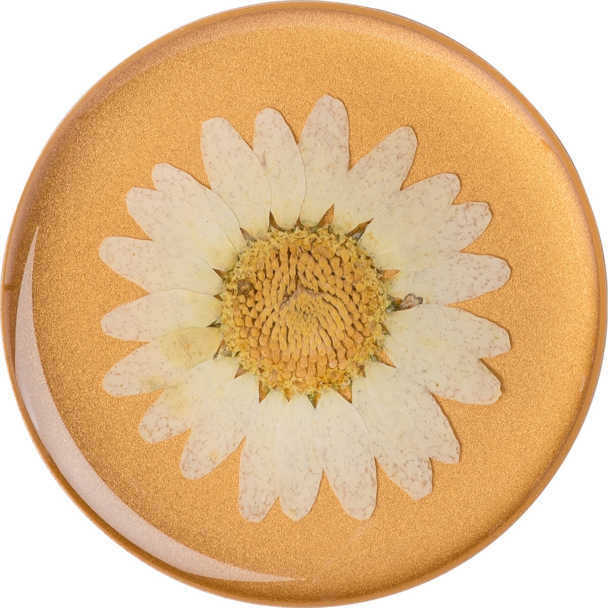 Popsockets Premium grep t. mobile enheter (pressed flower white daisy)