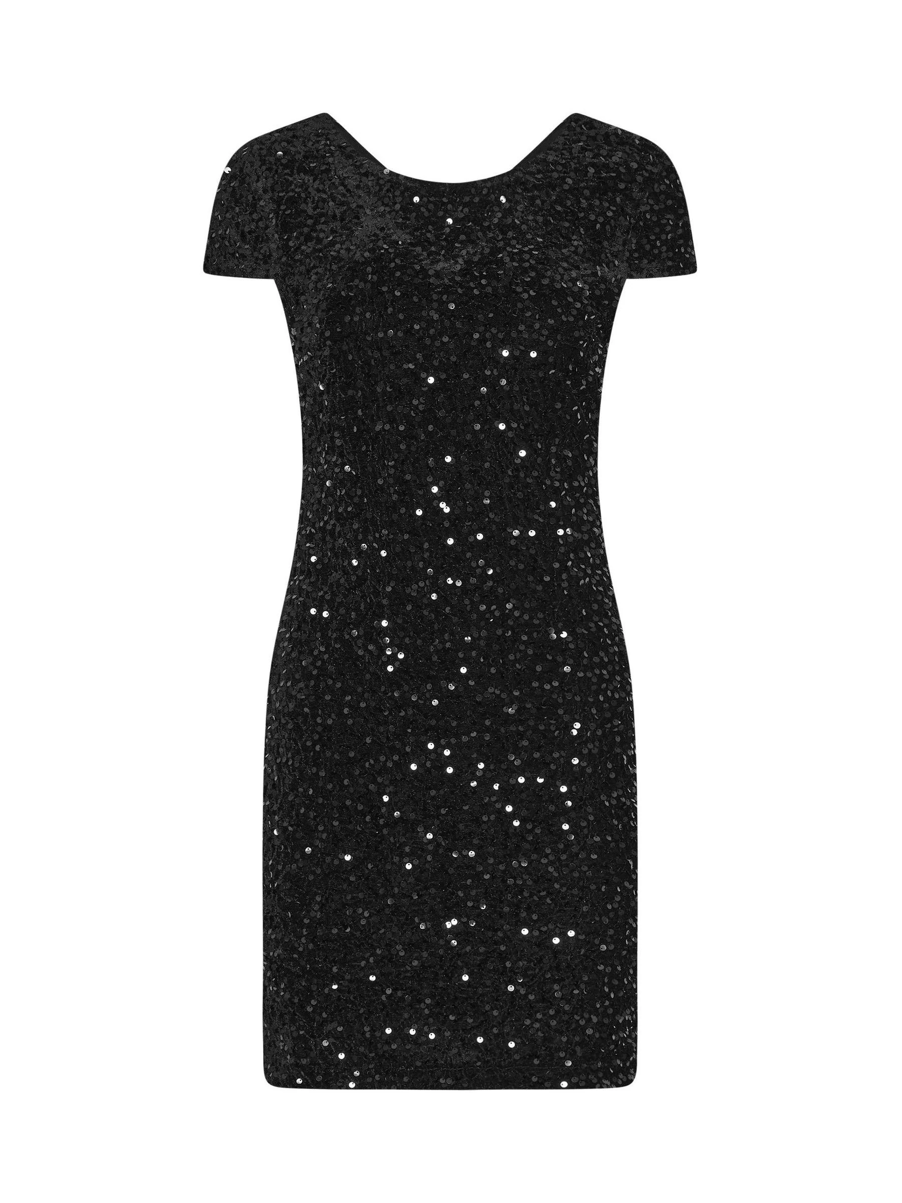 M&Co Petite Velvet Sequin Dress