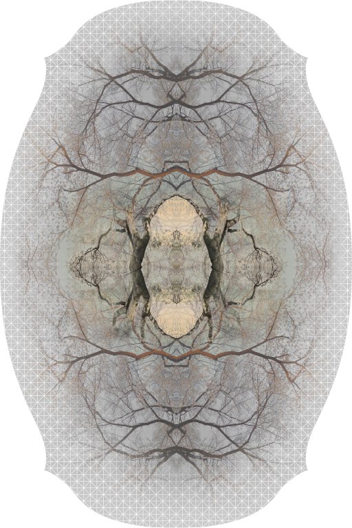 Moooi Carpets Diamond Tree vloerkleed 267x400 polyamide grijs