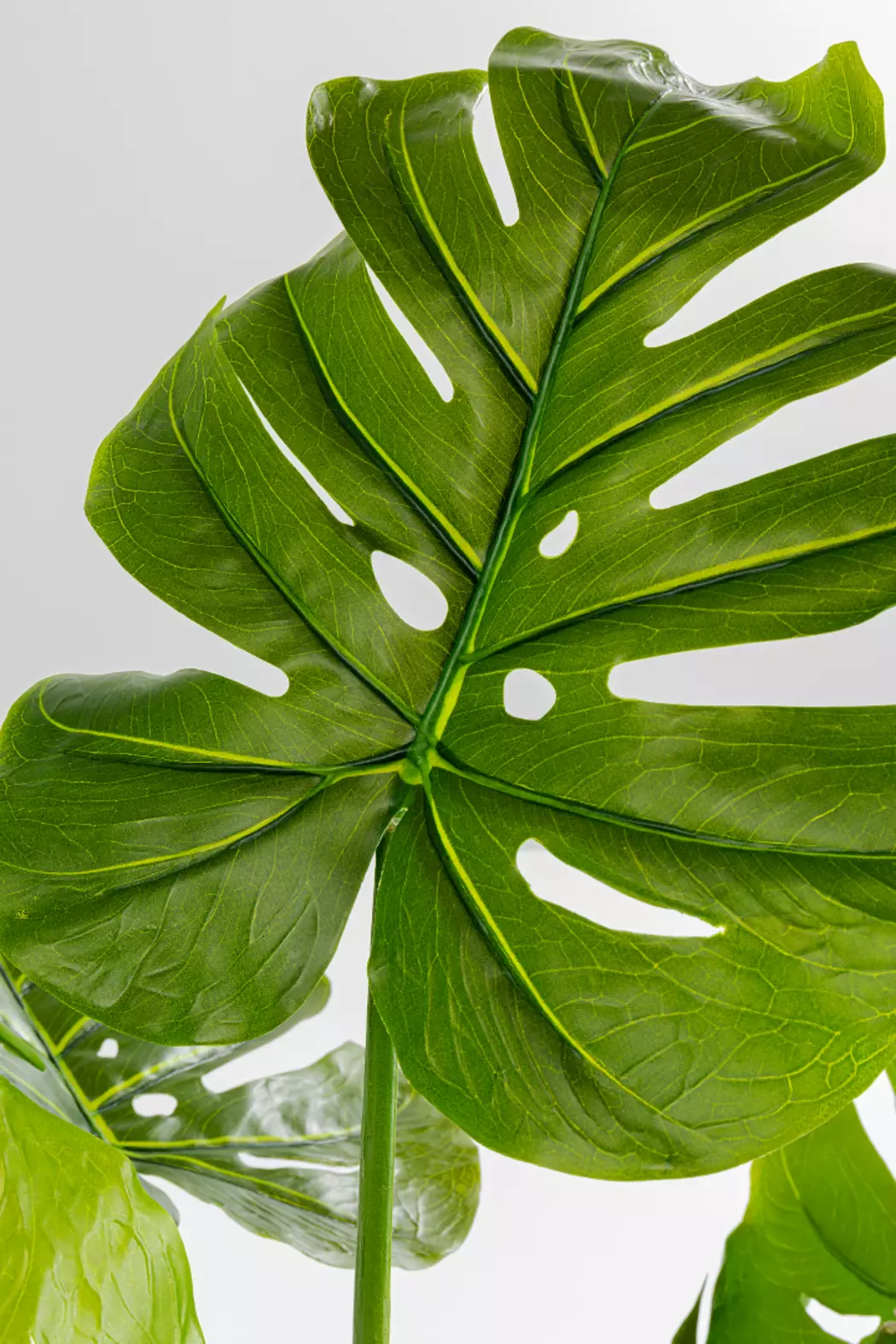 Deko Pflanze 51683 Monstera