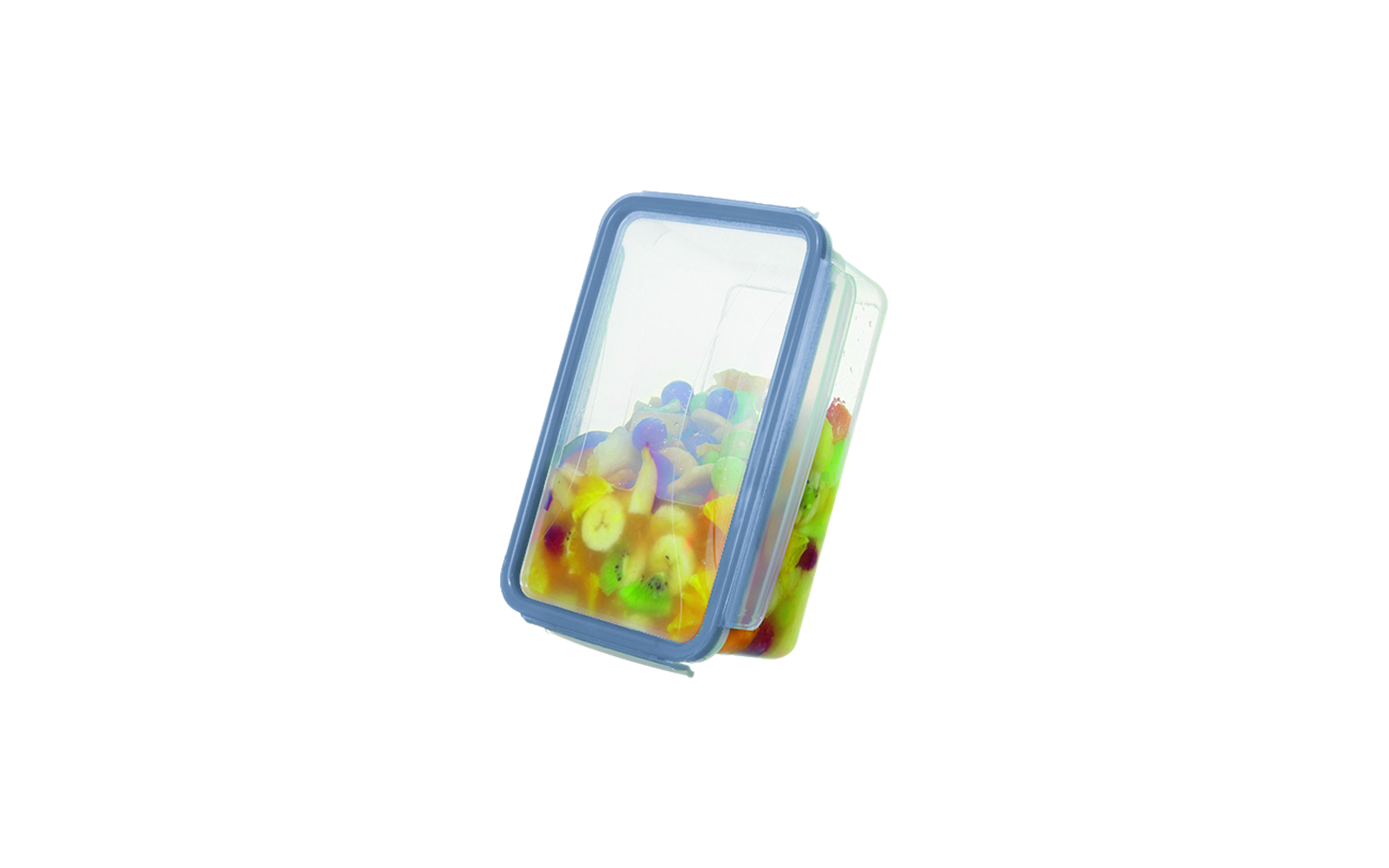 Rotho clic and lock Kühlschrankdose  flach 1l horizon blue