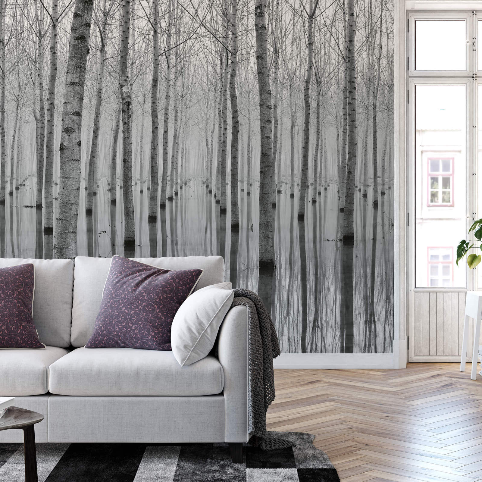 Fototapete DESIGNWALLS 2.0 - schwarz-weiß - Birkenwald - 2,6 Meter