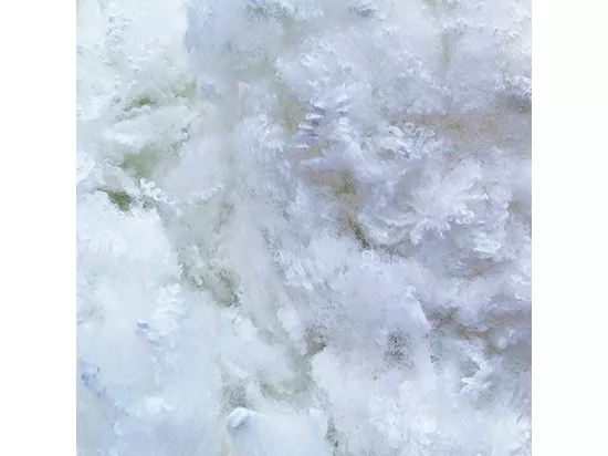 BELLECOUR LITERIE | Lot de 2 oreillers 60x60 cm GRAND PALACE | Fibres creuses polyester