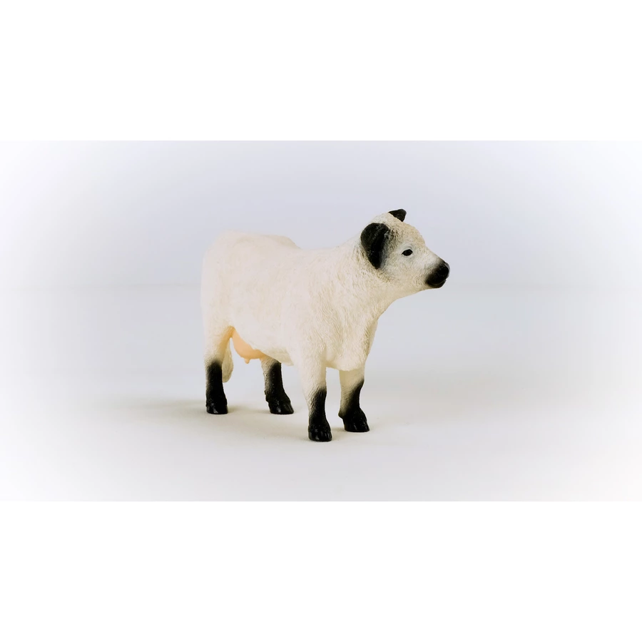 schleich® Galloway Kuh 13960