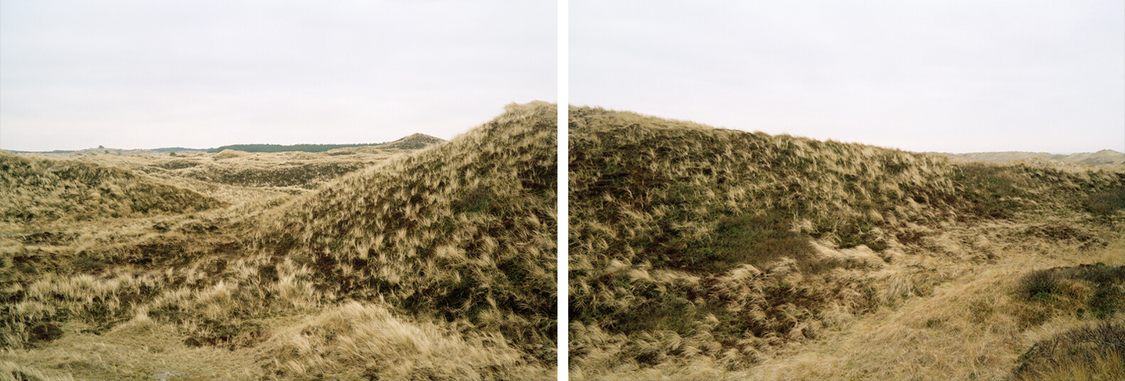 Tjalkshoek by Jan Koster - Limited Edition. Edition of: 100. Signed.