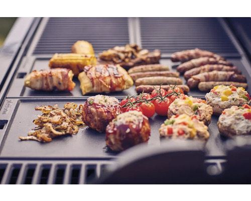 Tenneker® Grillrooster Gietijzer 48 x 24 cm Zwart Grillrooster Systeemplatform voor Halo