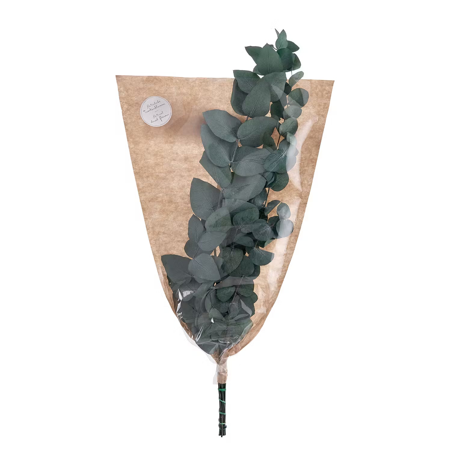 FLOWER MARKET Trockenblumen Eukalyptus