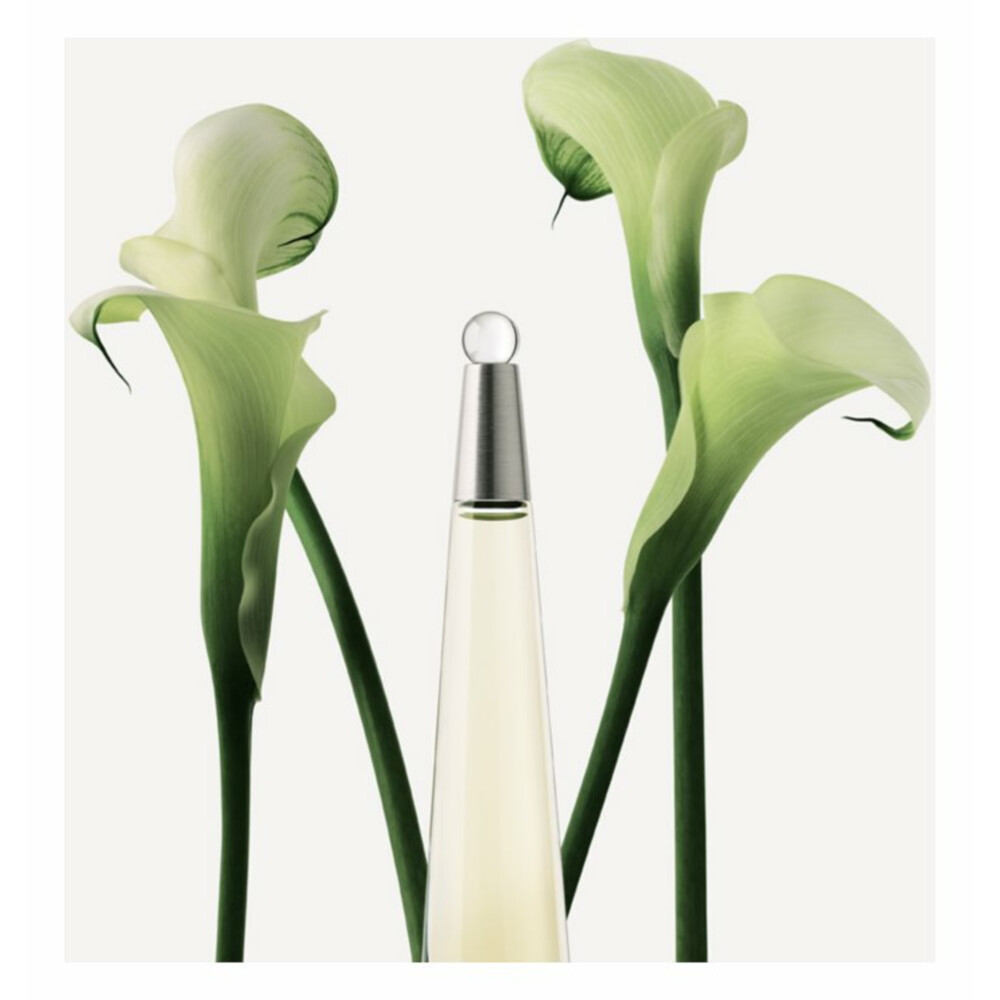 Issey Miyake L'Eau D'Issey Eau de Toilette Spray50 ml