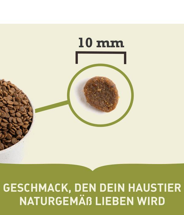 ACANA Trockenfutter für Katzen Regionals Cat