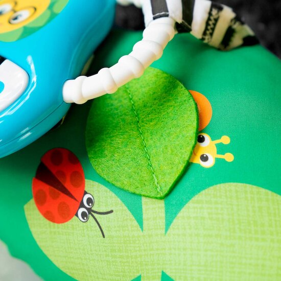 Coussin d'Activités Chenille   de               Baby Einstein