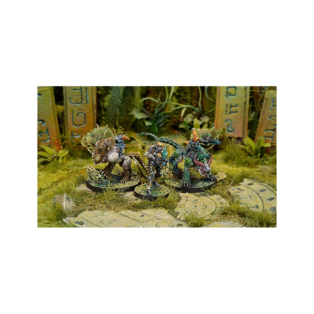 Infinity - Tohaa - Kerail Preceptors