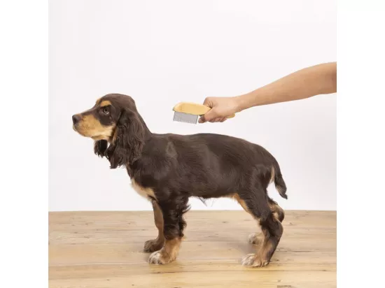 Peigne râteau à démeler pour animaux 31 dents en bambou - Beige - l 5.5 x L 21.5 cm