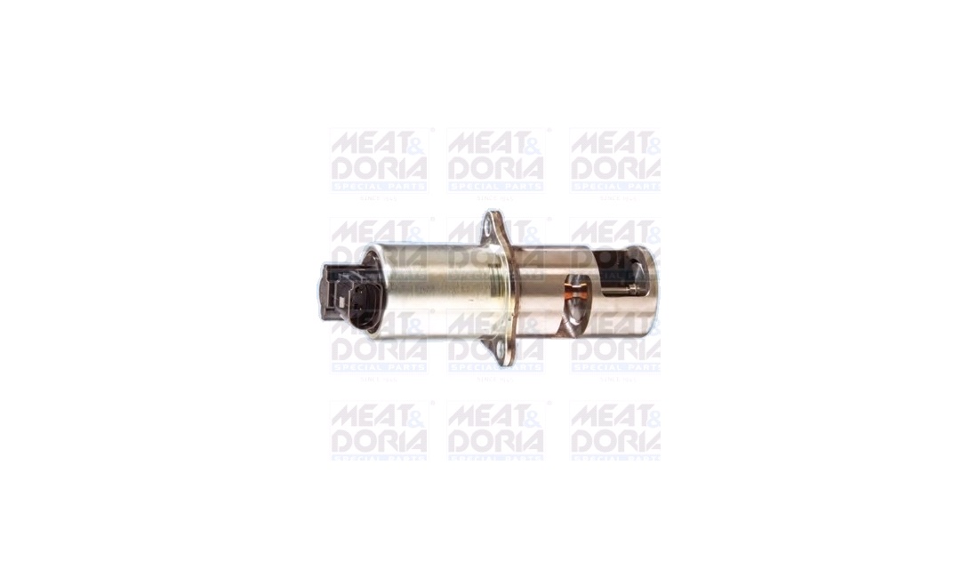 EGR-ventil 30 mm Elektrisk Med pakning