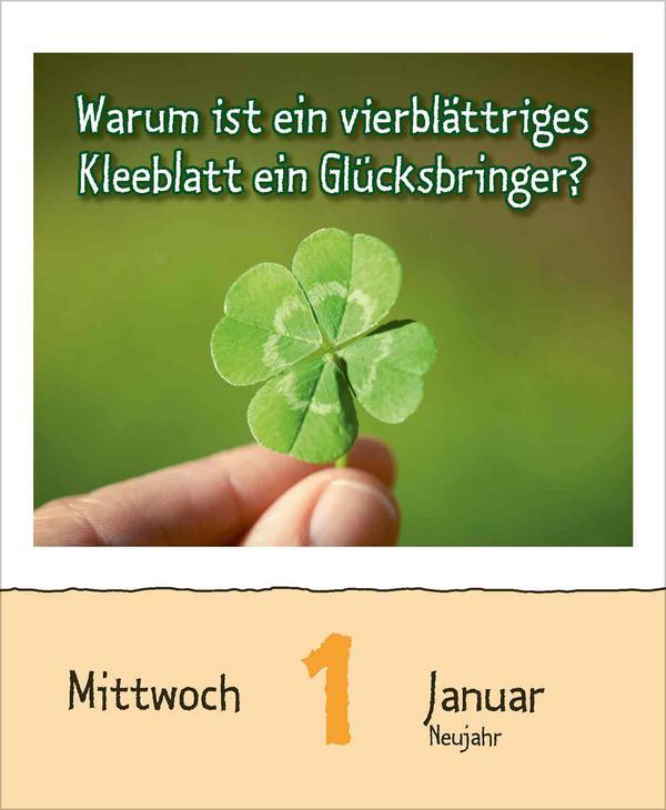 Warum wackelt Wackelpudding? 2025