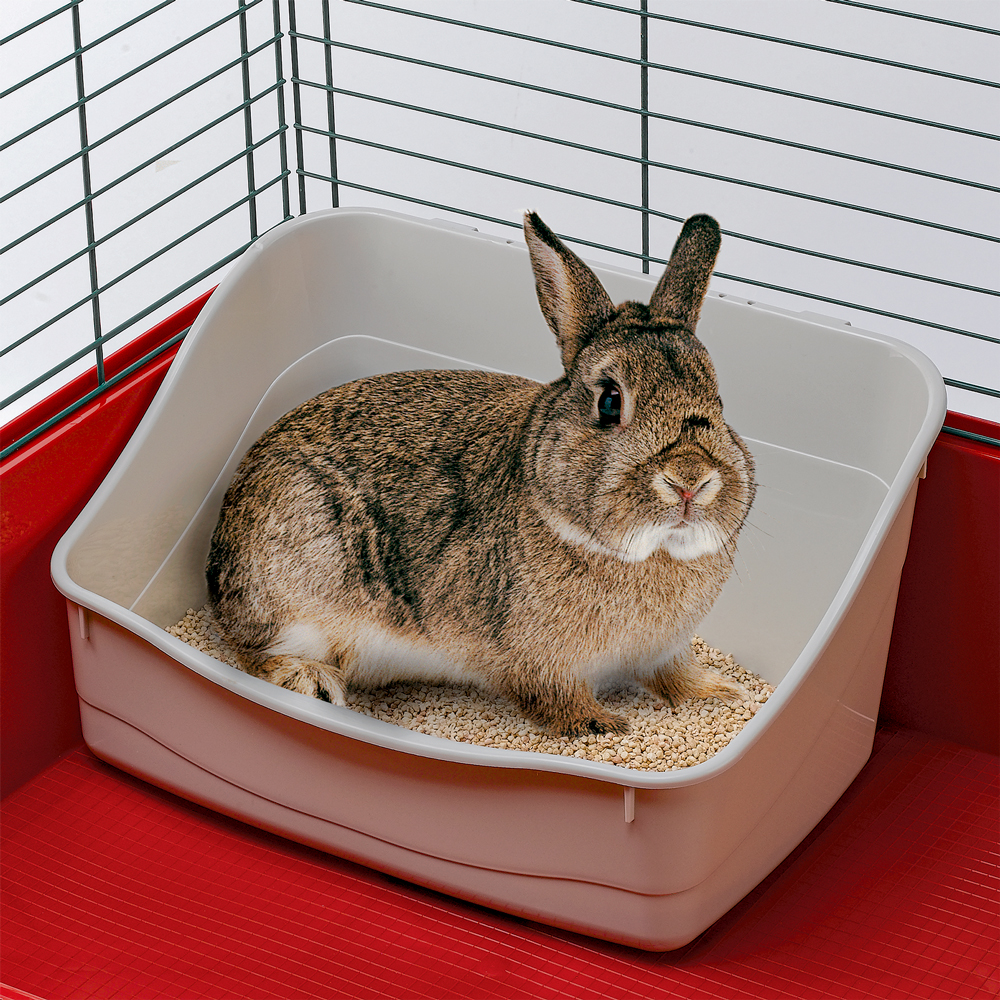 Ferplast litière pour lapins l305 toilette pour cages rongeurs, lapins, petits animaux, facile à nettoyage, hygiénique, 37 x 27 x