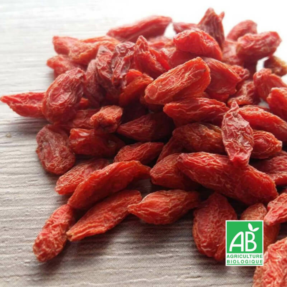 Goji 'chinense' bio - godet 9cm
