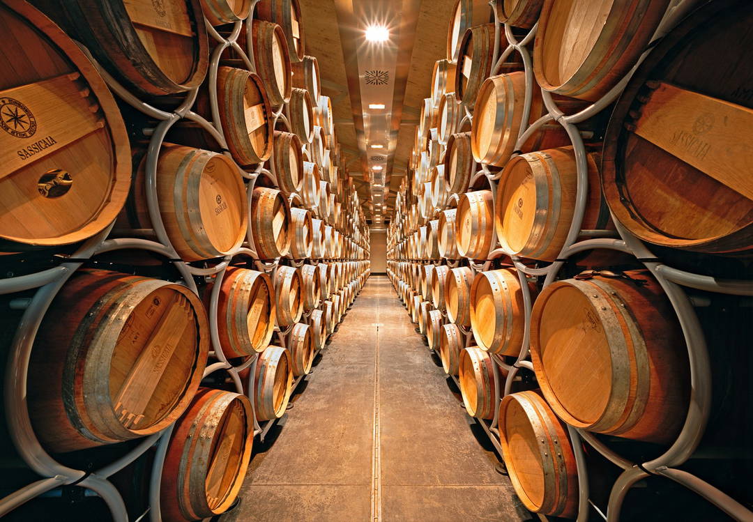Sassicaia, Bolgheri, Italy by Rafael Neff - Limited Edition. Edition of: 150. Signed.