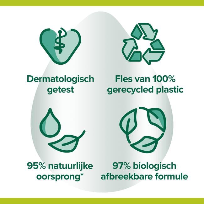 Palmolive Hygiëne Plus Family Antibacteriële Vloeibare Handzeep 300 ML