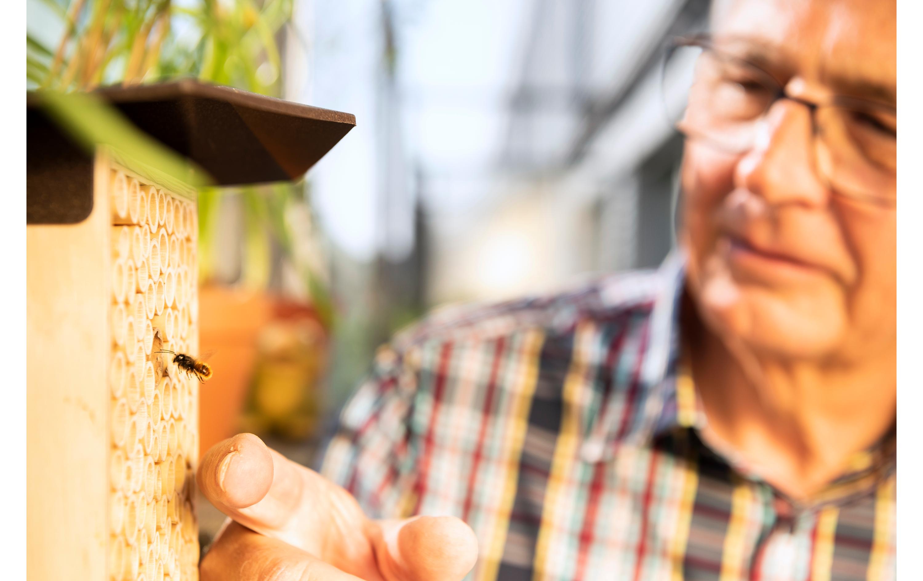 Wildbienenhotel BeeHome OneWildbienen-Häuschen mit Mauerbienen-Population