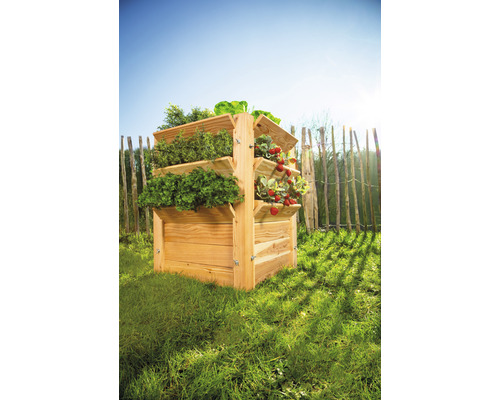Premium verhoogde tuinbak WESTMANN maat L 65 x 65 x 73 cm naturel