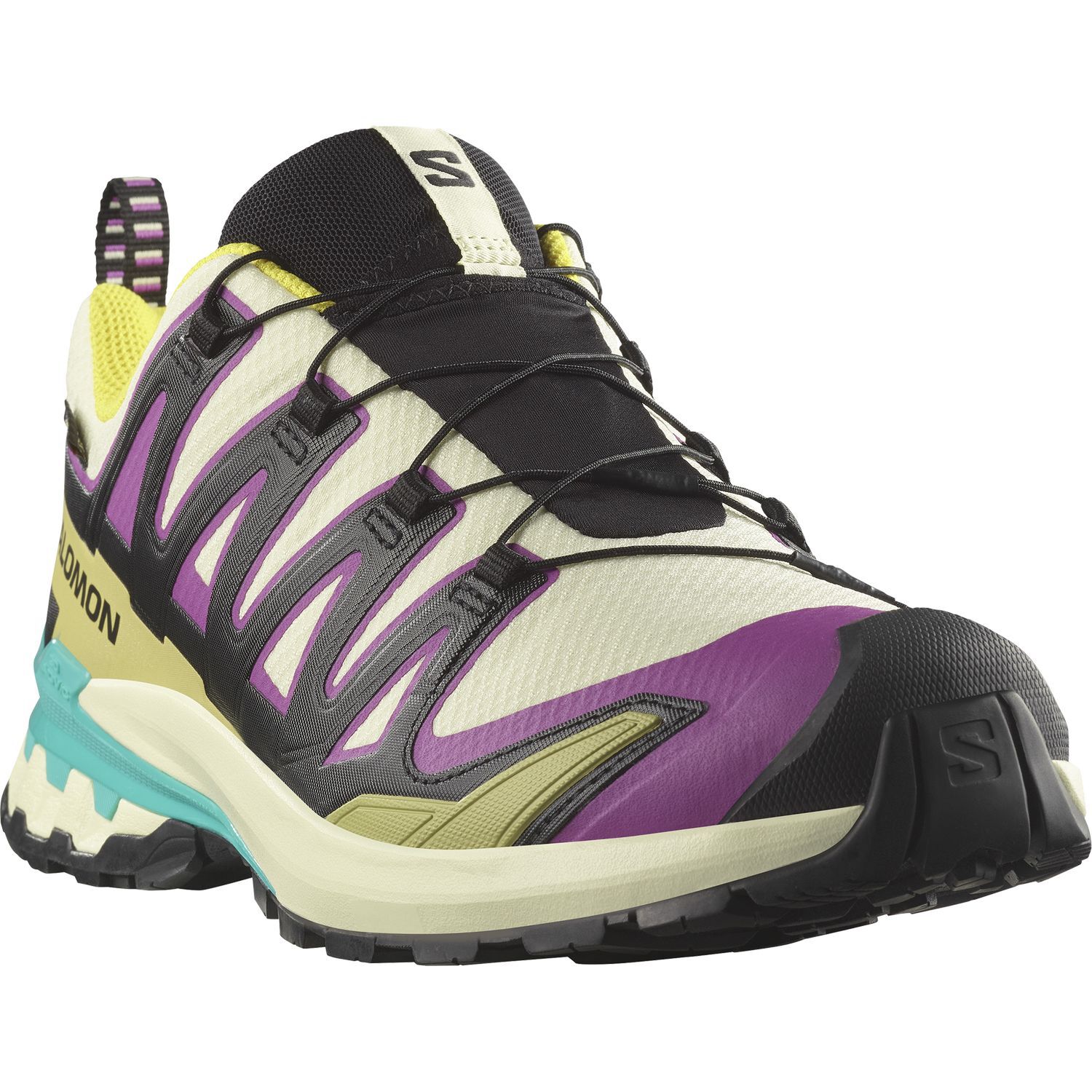 SalomonXA PRO 3D V9 GTX