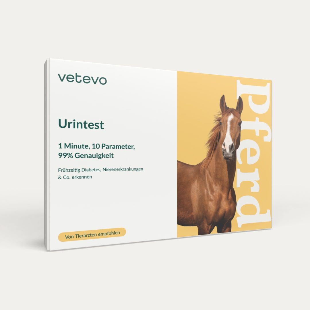 Urintest Pferd
