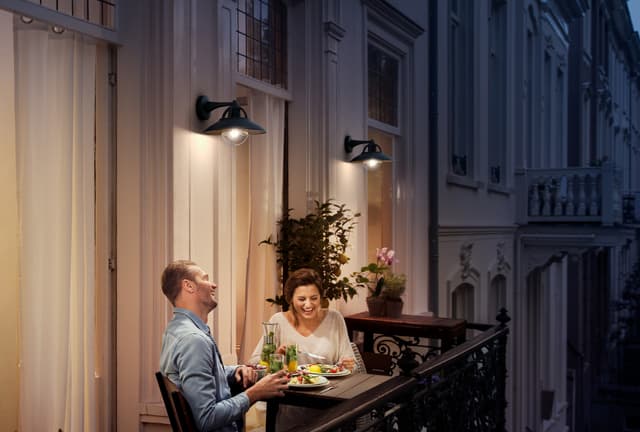 Philips Cormorant væglanterne 42W E27