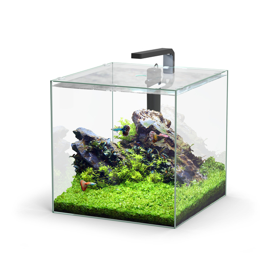 Aquarium Kubus Led équipé 54L - 38.8x39.8x38.8 cm
