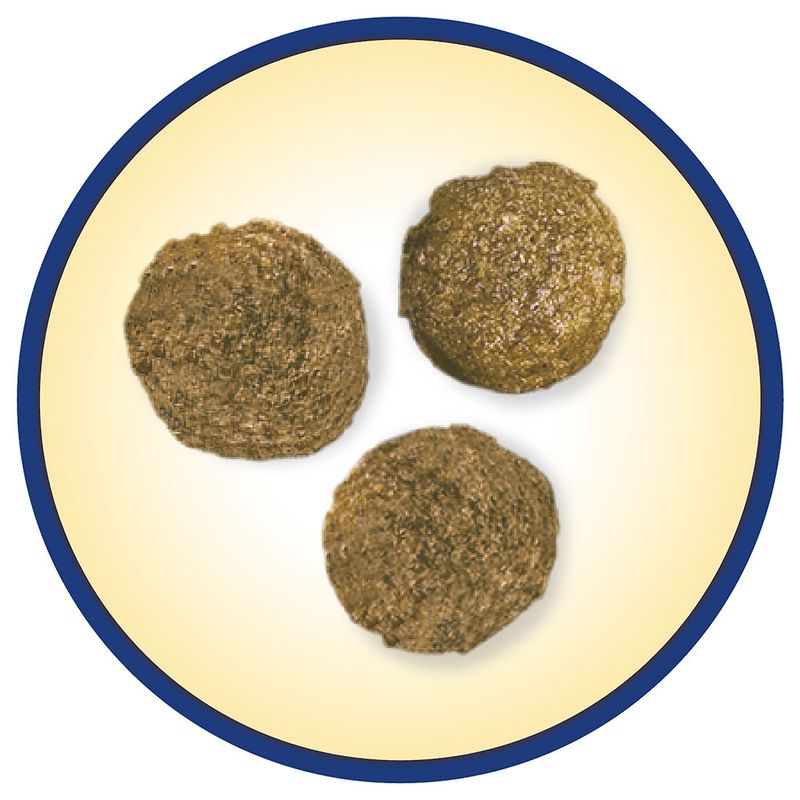 PURINA Dog Chow Complet/Classic, poulet