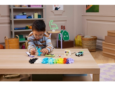 LEGO Coole creatieve doos (11043)