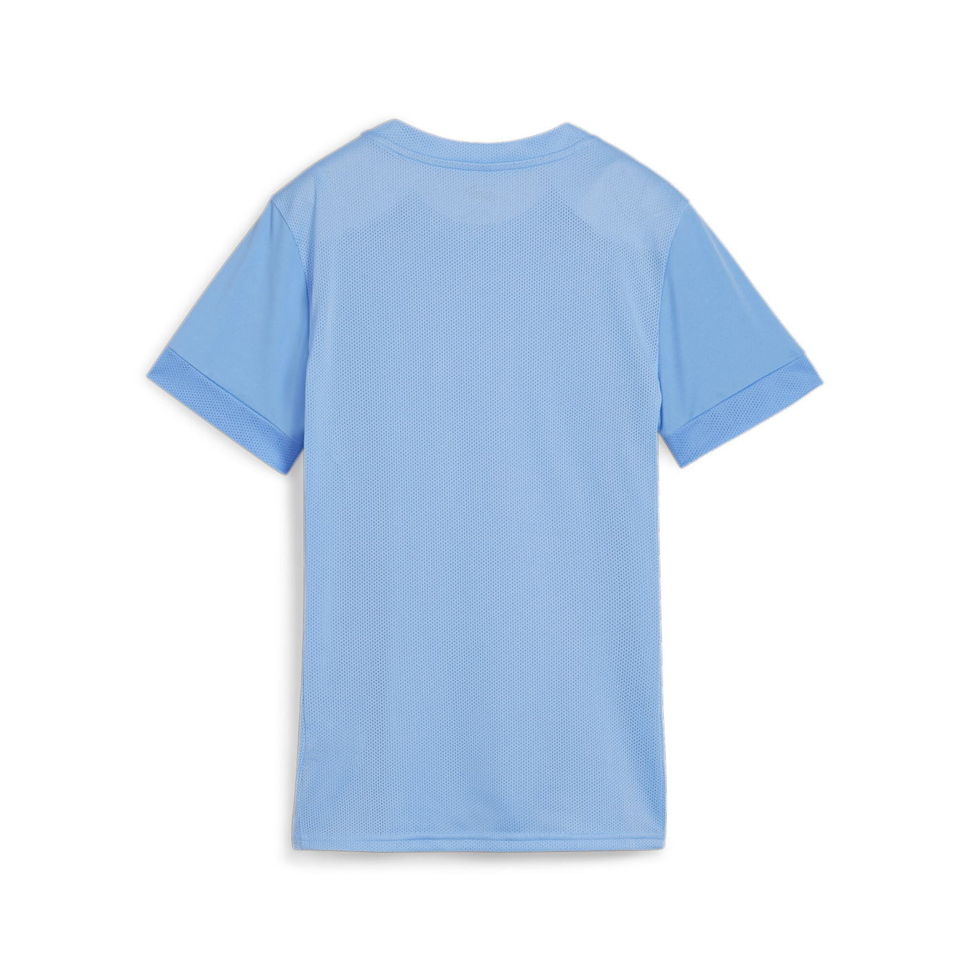PUMA teamGOAL Matchday Voetbaltenue Dames Lichtblauw Wit