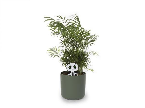Whadda Bausatz Panda Pflanzen überwacher Elektronikbausatz