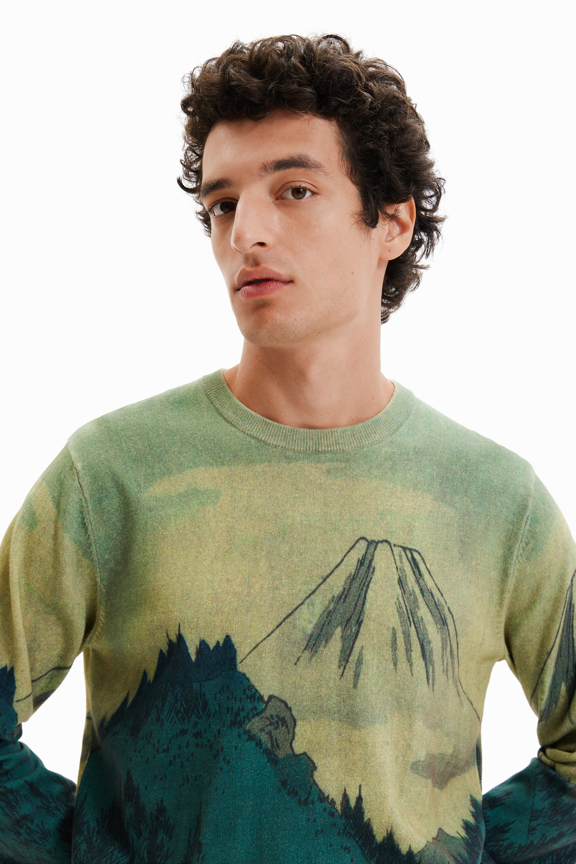 Pull fin paysage
