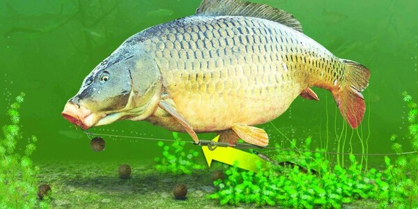 Lead Clips Korda Silt (10 Pièces)