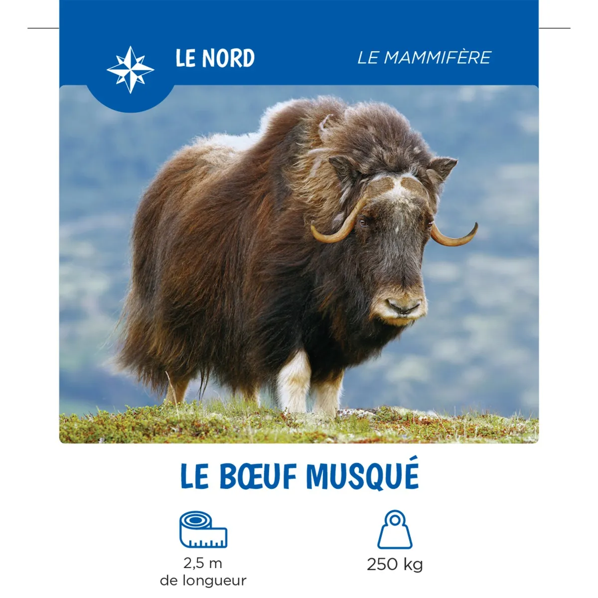 Auzou Les Animaux Du Québec
