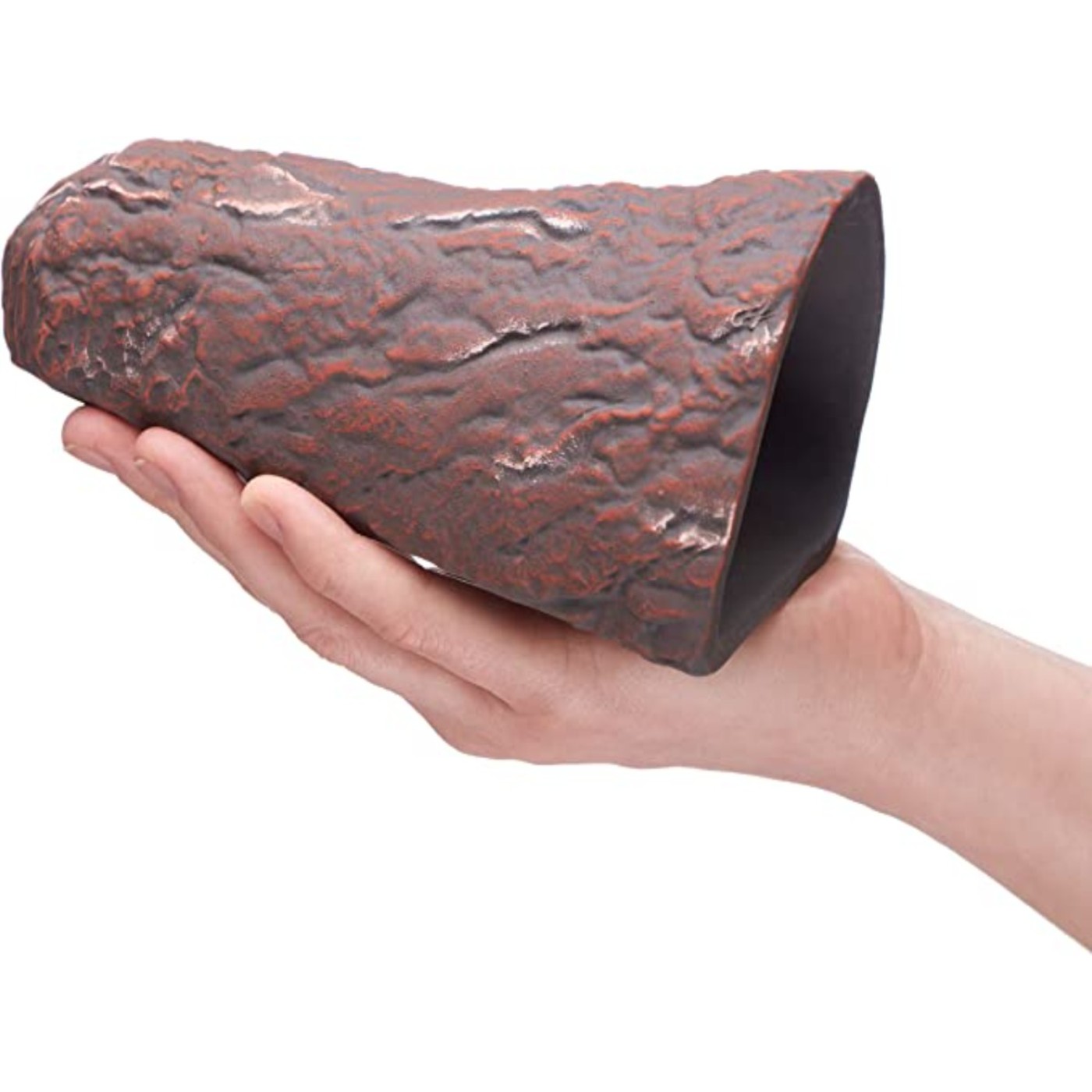 Cone de caverna Plecocerâmico Marrom