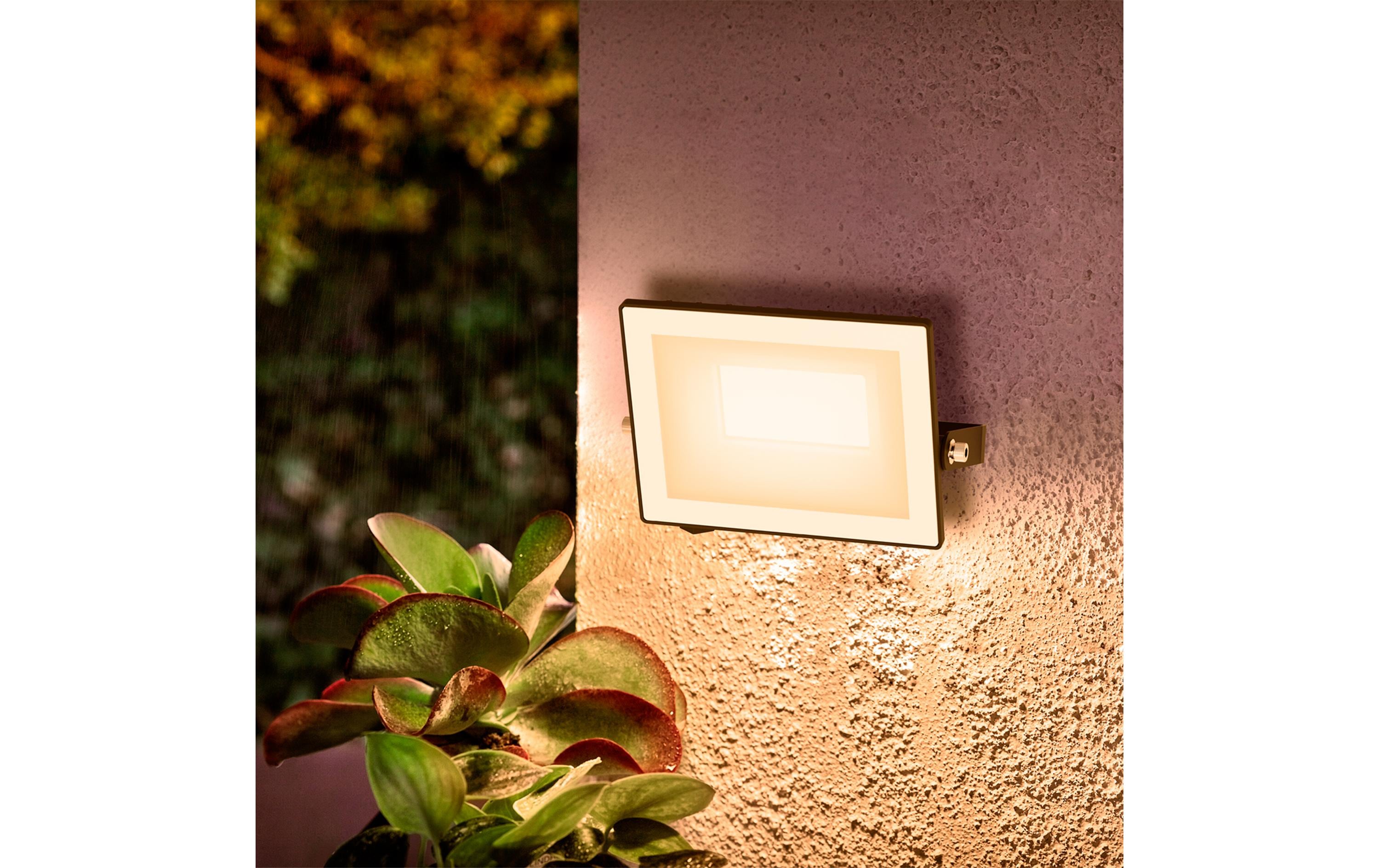 Lois Flutlicht 20W 3000K IP65 schwarz 20 WPhilips 8720169365063 Aussenbeleuchtung Wandbeleuchtung für den Aussenbereich Nicht austauschbare(s) Leuchtmittel LED F